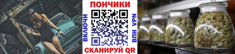 Виды наркоты Яхрома MEGA сайт  ГАШИШ  Псилоцибиновые грибы  Кокаин  МАРИХУАНА  АМФ 