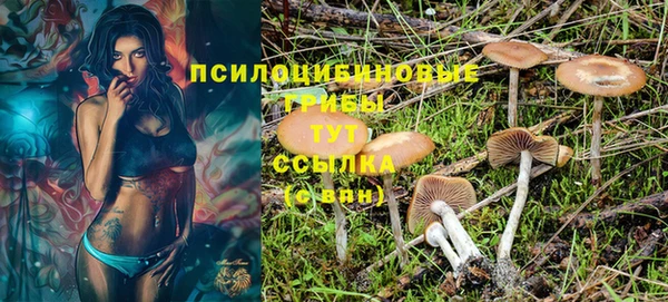 гашик Баксан