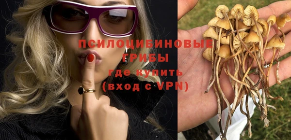 гашик Баксан