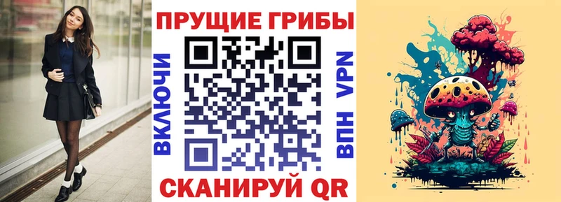 где купить наркотик  Яхрома  Псилоцибиновые грибы мицелий 